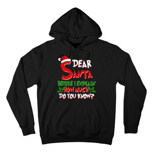 Dear Santa Before I Explain How Much Do You know Hoodie