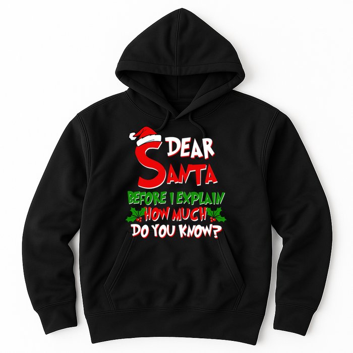 Dear Santa Before I Explain How Much Do You know Hoodie