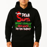 Dear Santa Before I Explain How Much Do You know Hoodie