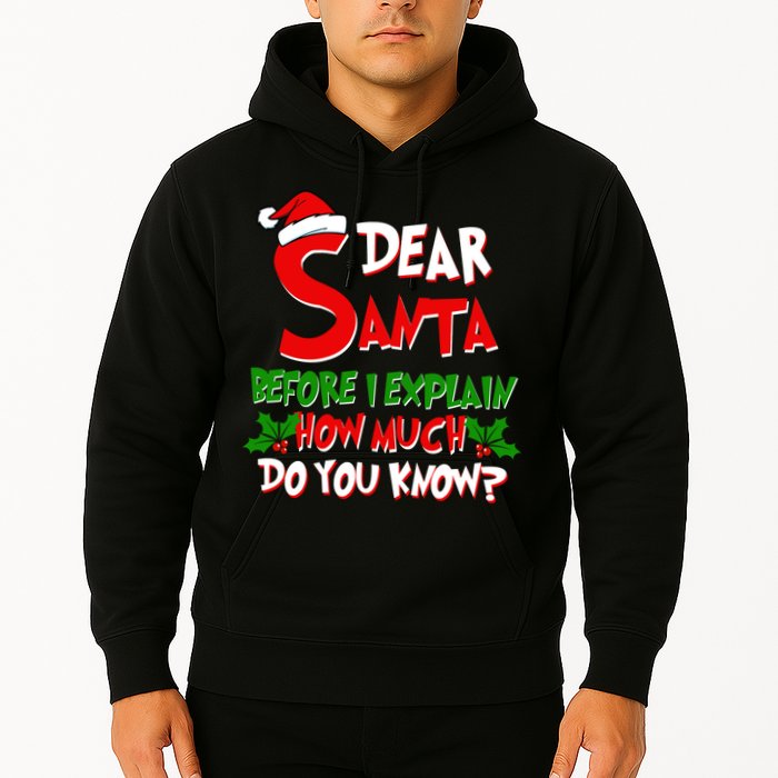 Dear Santa Before I Explain How Much Do You know Hoodie