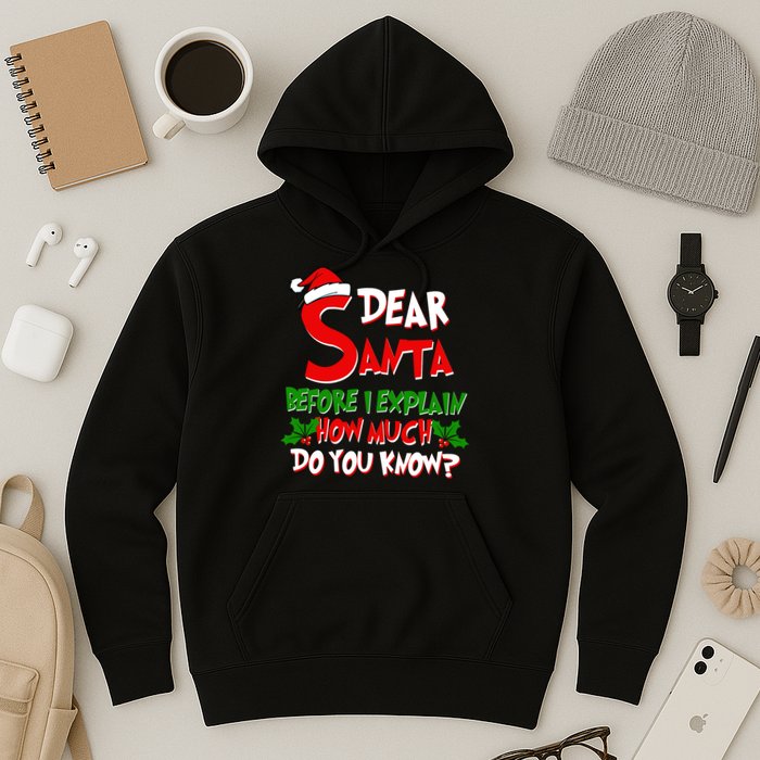 Dear Santa Before I Explain How Much Do You know Hoodie