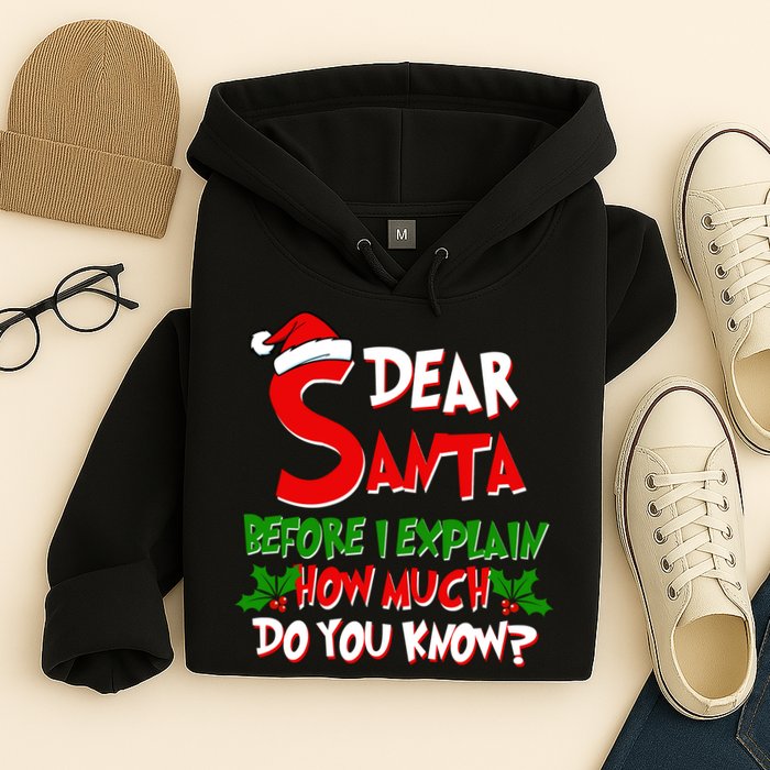 Dear Santa Before I Explain How Much Do You know Hoodie