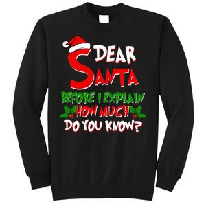 Dear Santa Before I Explain How Much Do You know Sweatshirt