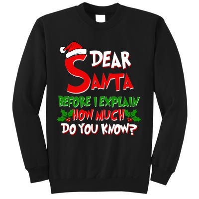 Dear Santa Before I Explain How Much Do You know Sweatshirt