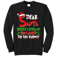 Dear Santa Before I Explain How Much Do You know Sweatshirt