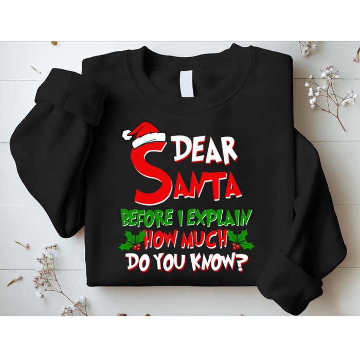 Dear Santa Before I Explain How Much Do You know Sweatshirt