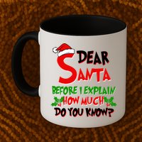 Dear Santa Before I Explain How Much Do You know Mug