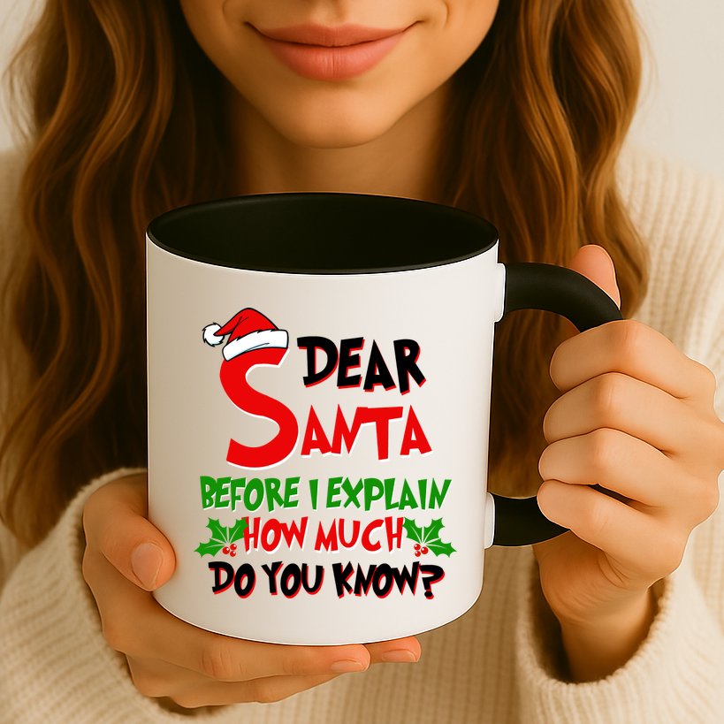 Dear Santa Before I Explain How Much Do You know Mug
