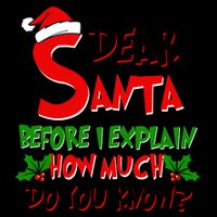 Dear Santa Before I Explain How Much Do You know Mug