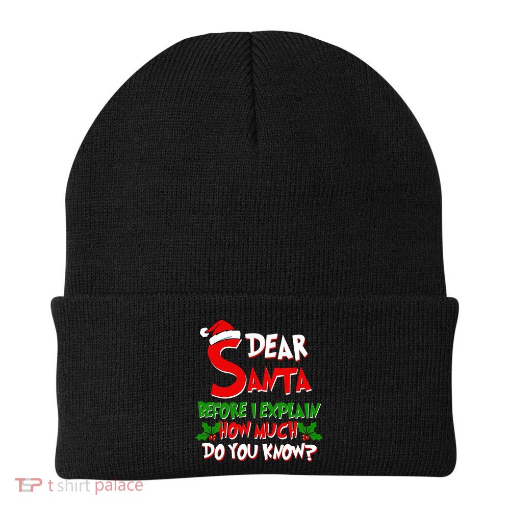Dear Santa Before I Explain How Much Do You know Knit Cap Winter Beanie