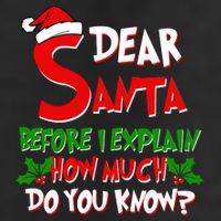 Dear Santa Before I Explain How Much Do You know Beanie