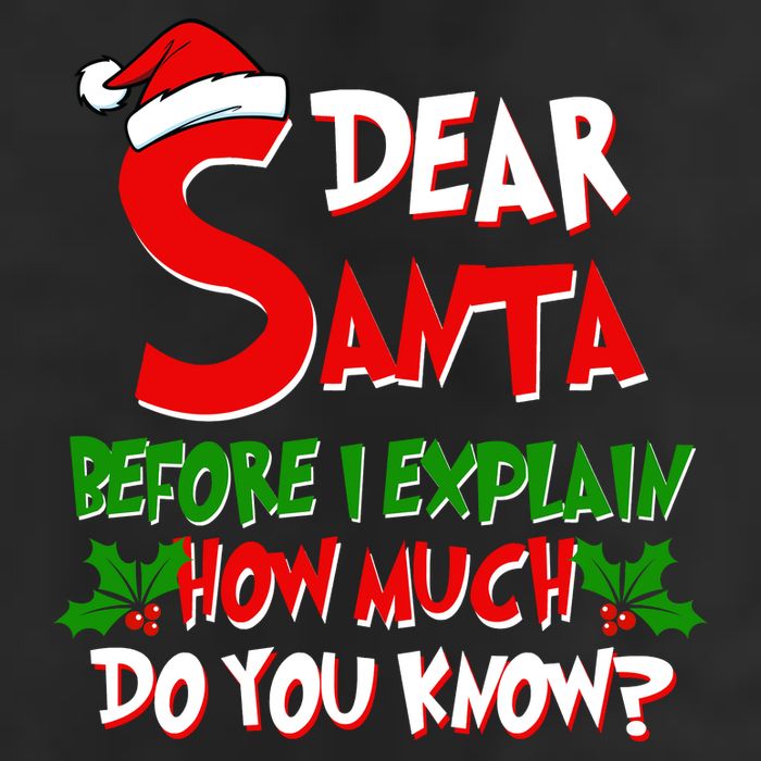 Dear Santa Before I Explain How Much Do You know Beanie
