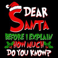 Dear Santa Before I Explain How Much Do You know Drawstring Bag