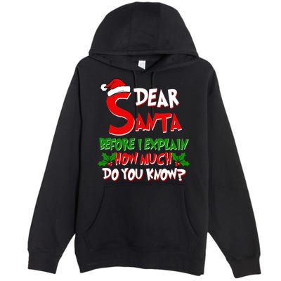 Dear Santa Before I Explain How Much Do You know Premium Pullover Hoodie