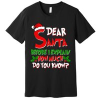 Dear Santa Before I Explain How Much Do You know Premium T-Shirt