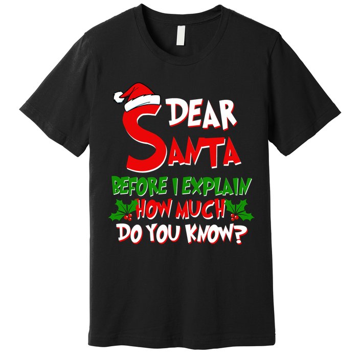 Dear Santa Before I Explain How Much Do You know Premium T-Shirt