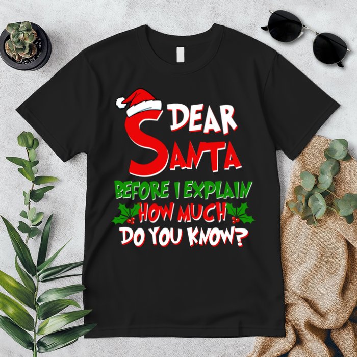 Dear Santa Before I Explain How Much Do You know Premium T-Shirt