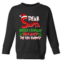 Dear Santa Before I Explain How Much Do You know Toddler Sweatshirt