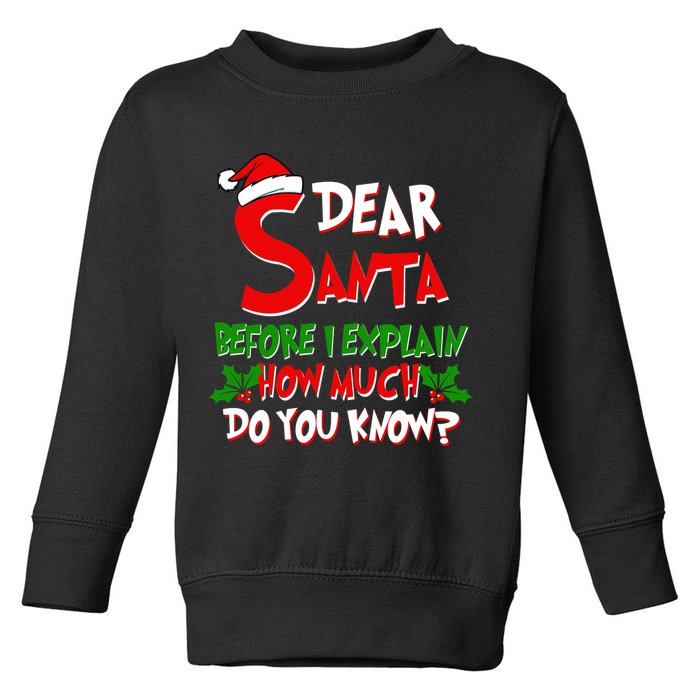 Dear Santa Before I Explain How Much Do You know Toddler Sweatshirt