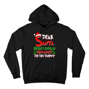 Dear Santa Before I Explain How Much Do You know Tall Hoodie