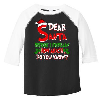 Dear Santa Before I Explain How Much Do You know Toddler Fine Jersey T-Shirt