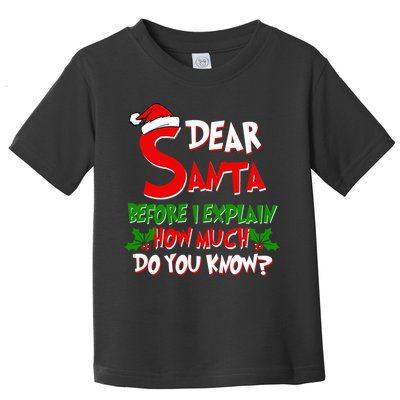 Dear Santa Before I Explain How Much Do You know Toddler T-Shirt
