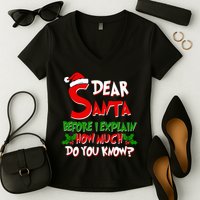 Dear Santa Before I Explain How Much Do You know Women's V-Neck T-Shirt