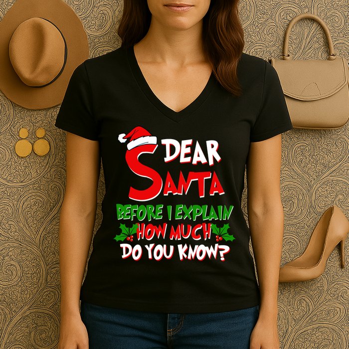 Dear Santa Before I Explain How Much Do You know Women's V-Neck T-Shirt