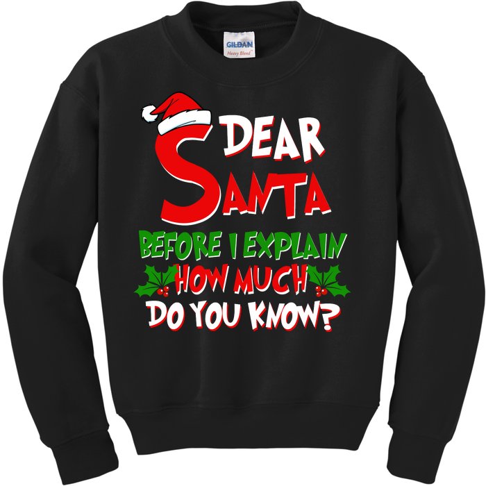 Dear Santa Before I Explain How Much Do You know Kids Sweatshirt