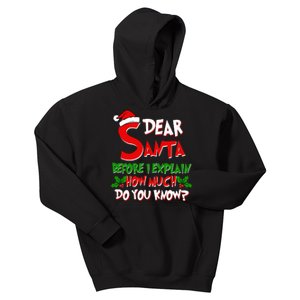 Dear Santa Before I Explain How Much Do You know Kids Hoodie