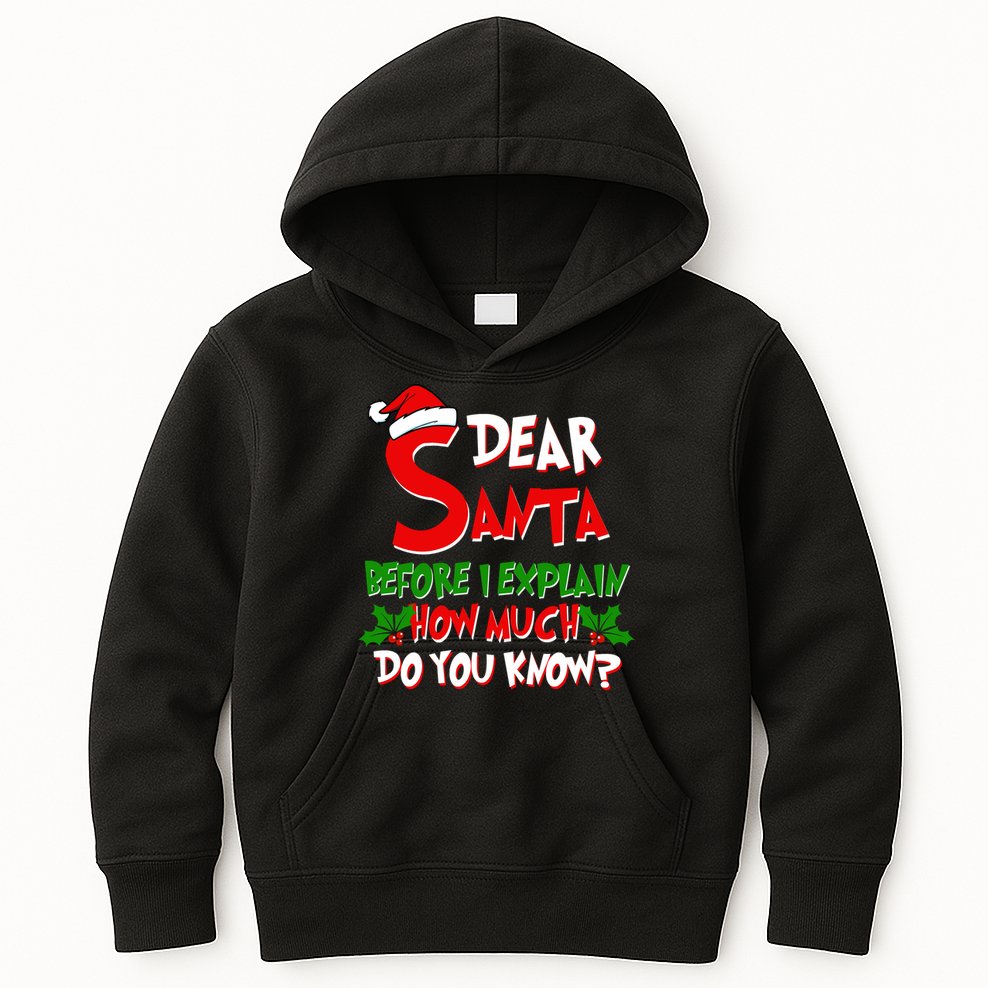 Dear Santa Before I Explain How Much Do You know Kids Hoodie