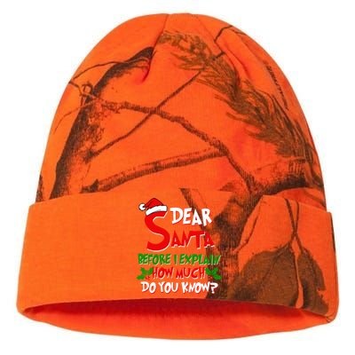 Dear Santa Before I Explain How Much Do You know Kati Licensed 12" Camo Beanie