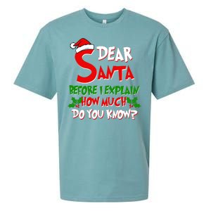 Dear Santa Before I Explain How Much Do You know Sueded Cloud Jersey T-Shirt