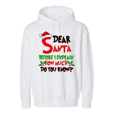 Dear Santa Before I Explain How Much Do You know Garment-Dyed Fleece Hoodie