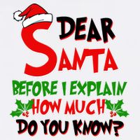 Dear Santa Before I Explain How Much Do You know Garment-Dyed Sweatshirt