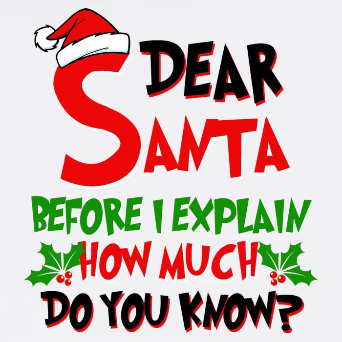 Dear Santa Before I Explain How Much Do You know Garment-Dyed Sweatshirt