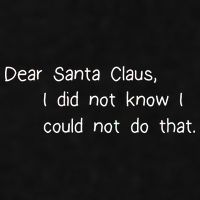 Dear Santa Claus I Did Not Know I Could Not Do That Ladies PosiCharge Tri-Blend Wicking Tank