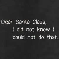Dear Santa Claus I Did Not Know I Could Not Do That 7 Panel Mesh Trucker Snapback Hat