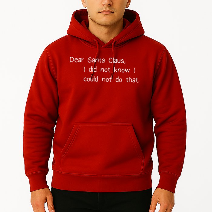 Dear Santa Claus I Did Not Know I Could Not Do That Hoodie