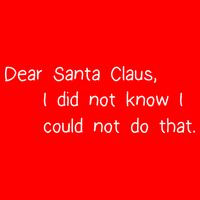 Dear Santa Claus I Did Not Know I Could Not Do That Flat Bill Trucker Hat