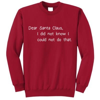 Dear Santa Claus I Did Not Know I Could Not Do That Tall Sweatshirt