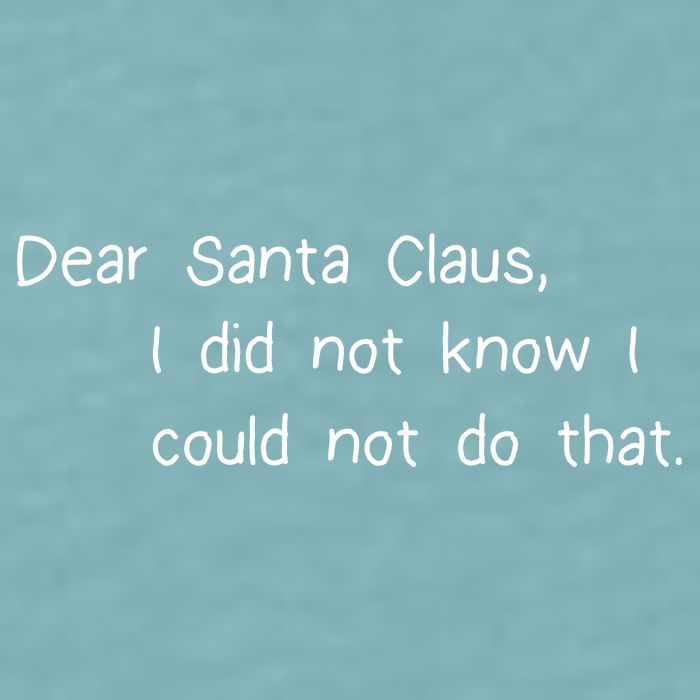 Dear Santa Claus I Did Not Know I Could Not Do That Sueded Cloud Jersey T-Shirt