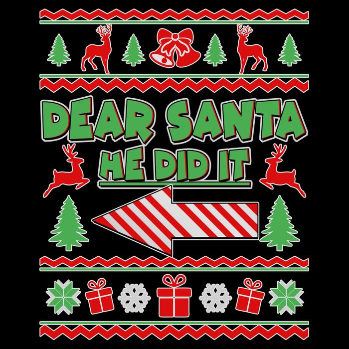 Dear Santa He Did It Funny Ugly Christmas Doggie Tank