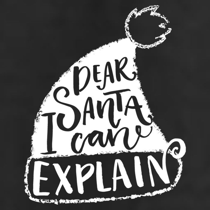 Dear Santa I Can Explain Adult Drive Performance Visor