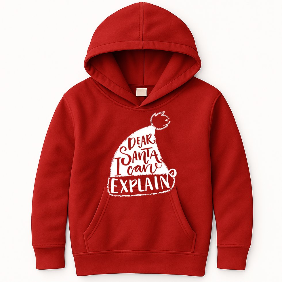 Dear Santa I Can Explain Kids Hoodie