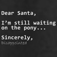 Dear Santa I'm Sincerely Disappointed No Pony Adult Drive Performance Visor