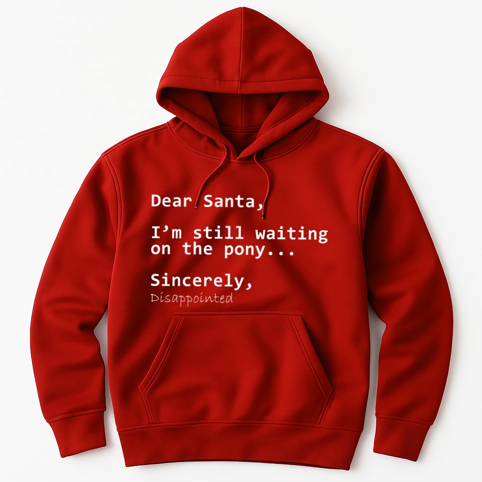 Dear Santa I'm Sincerely Disappointed No Pony Hoodie