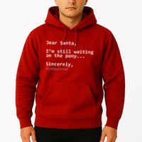 Dear Santa I'm Sincerely Disappointed No Pony Hoodie