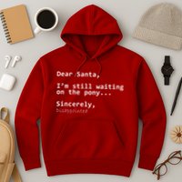 Dear Santa I'm Sincerely Disappointed No Pony Hoodie