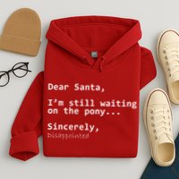 Dear Santa I'm Sincerely Disappointed No Pony Hoodie